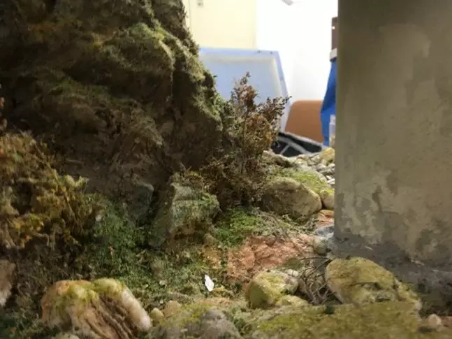模型记录:他们将模型场景定格在中国高铁“复(图14) 模型记录:他们将模型场景定格在中国高铁“复(图14)